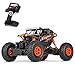 Theefun 1:18 2.4Ghz RC Rock Crawler Remote Control Car 4WD Off Road RC Monster Truck