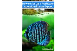 Freshwater Aquariums: How to Set Up One Like an Expert (Aquarium and Turtle Mastery Book 2)