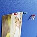 Swansea Pins Bulletin Board Enclosed Wall-Mounted Secure Display Board for Notice Message with Door and Keys,38x28inches(9xA4)