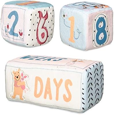 winnie the pooh milestone blocks