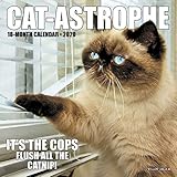 Cat-astrophe 2020 Mini Calendar by 
