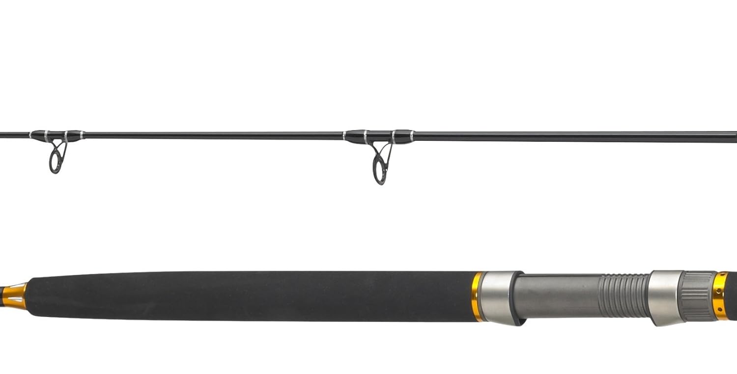 ugly stik elite 10ft