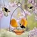 FORUP Oriole Bird Feeder, Orange Fruit Oriole Feeder