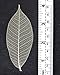 CoolPrice Skeleton Natural Dried Rubber Leaves Artificial Leaves Craft Card Scrapbook Diy Handmade Embellishment For Decoration Art 100 Pcs.