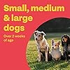 Bob-Martin-Clear-3-in-1-Wormer-Tablets-for-Small-Medium-Large-Dogs-up-to-40-kg-Clinically-Proven-Treatment-4-Tablets Bob Martin Clear | 3 in 1 Wormer Tablets for Small, Medium & Large Dogs (up to 40kg) | Clinically Proven Treatment (4…