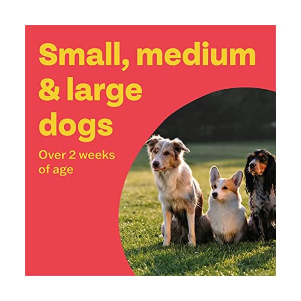 Bob-Martin-Clear-3-in-1-Wormer-Tablets-for-Small-Medium-Large-Dogs-up-to-40-kg-Clinically-Proven-Treatment-4-Tablets Bob Martin Clear | 3 in 1 Wormer Tablets for Small, Medium & Large Dogs (up to 40kg) | Clinically Proven Treatment (4…