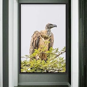 signwin Framed Canvas Wall Art Single Bird Birds...