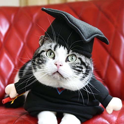 Alfie Pet by Petoga Couture - Kade the Graduate for Party Halloween Special Events Costume - Image 3