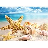 callm 5D Diamond Painting by Number Kit, Clearance DIY Cross Stitch Kit Beach Nature Cat Animals Diamond Embroidery Painting Drill Arts Craft Supply for Home Wall Decor (Beach❤️)
