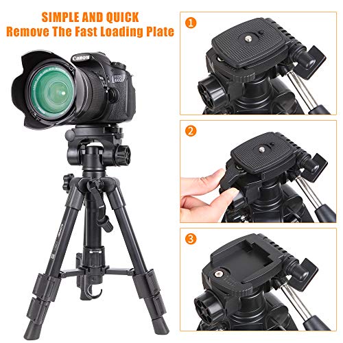 Zomei Q100 Mini Travel Tabletop Tripod Tabletop Tripod with 3-Way Pan/Tilt Head 1/4 inches Quick Release Plate and Bag for DSLR Camera Tripod Carrying Bag (Black)
