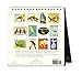 Cavallini 2017 Vintage Birds Desk Calendar