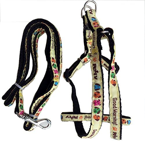 Petmuch Dog Paw Good Morning Print Black Nylon Harness and Leash, M Black …