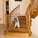 Magic Gate for Dogs, Stretchy Pet Barrier Mesh, Folding Baby Safety Fence, Portable Dog Safe Guard Enclosure for House Indoor Stair/Doorway Use, Width 43