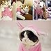 Bro'Bear Plush Rabbit Outfit with Hood & Bunny Ears for Small Dogs & Cats Pink (X-Large)