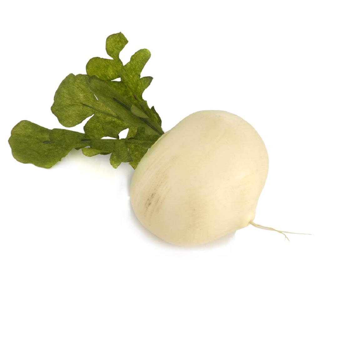 Syed Garden Turnip Seed Color White Pack Of 50 Seed Amazon In