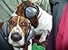 Mutt Muffs DDR337 Hearing Protection for Dogs, Pink, Small