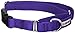 GOGO Pet Products 1-Inch Martingale Dog Collar, Large, Purple