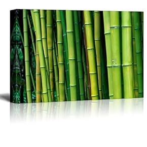 Green Bamboo Trees - Canvas Art Home Art - 12x18 inches