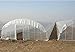 Agfabric 3.1Mil Plastic Covering Clear Polyethylene Greenhouse Film UV Resistant for Grow Tunnel and Garden Hoop, Plant Cover&Frost Blanket for Season Extension,Keep Warm and Frost Protection, 12x20ft