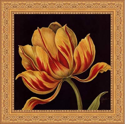 Amazoncom Framed Fleur Rouge Et Jaune 12x12 Inches Art