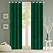 Roslynwood Blackout Velvet Curtains Velvet Energy Efficient Grommet Drapes Dark Green 96 inch Thermal Insulated for Bedroom 2 Panels (W52'' x L96'', Dark Green)