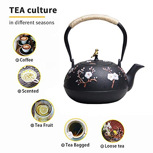 Cast Iron Teapot, Japanese Style Tetubin, Tea Kettle with Removable