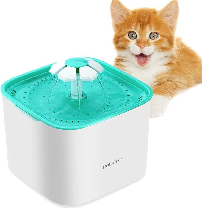 bernese mountain dog and labradoodle mix