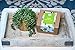 Indoor Herb Garden Grow Kit: Indoor Garden Kit Includes 4 Organic Herb Seeds, Basil, Parsley, Chives and Cilantro, Organic Soil Wafers, Planting Pots, and Plant Markersthumb 1