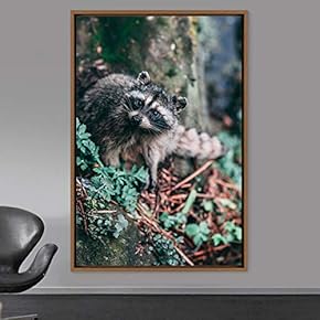 signwin Framed Canvas Wall Art Raccoons Animals Fun...