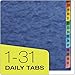 Pendaflex Expanding Desk File, Daily (1-31), Letter Size, Blue, Each (11013)