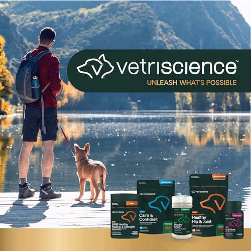 VETRISCIENCE HEALTHY MOUTH DOG DENTAL POWDER, PERIO SUPPORT CLINICALLY TESTED DENTAL POWDER FOR DOGS AND CATS, FRESHEN BREATH, CONTROL PLAQUE & TARTAR, ORAL HEALTH, 4.2 OZ