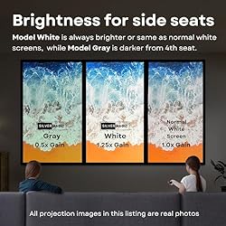 High Gain Projector Screen - Fixed Frame Like