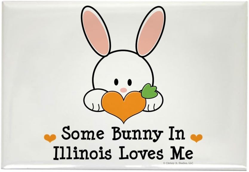 The 10 Best State Stickers In Refrigerator