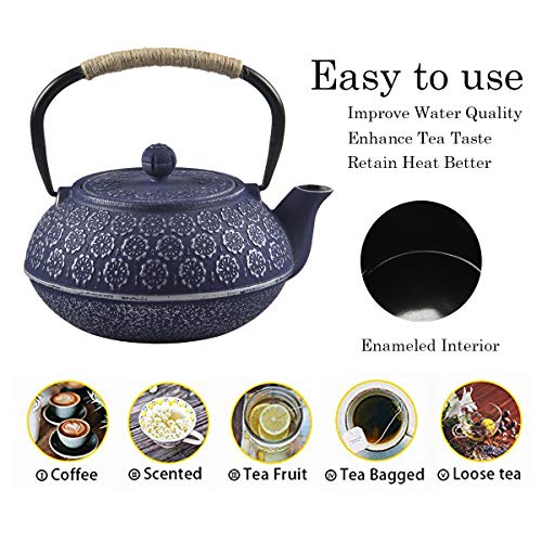 SECHUDO Cast Iron Teapot for Stovetop Safe Coated with Enameled