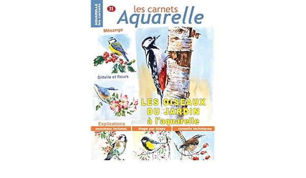 Les Carnets Aquarelle N31 Les Oiseaux Du Jardin à L
