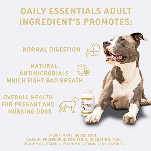Adult Dog Multivitamin & Immune System Supporter Canine Vitamins for