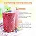 CHULUX Stainless Steel Smoothie Blender Machine with Sharp Blade Assemby,2 Bottles with Floded Spout Lids for Protein Shake and Juice
