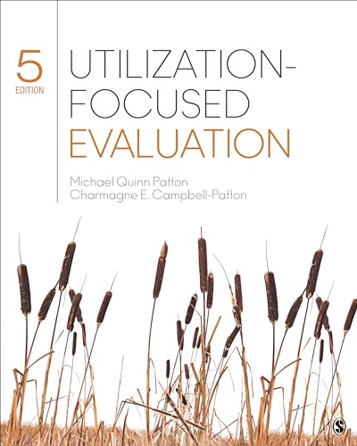 Utilization-Focused Evaluation en promo sur Amazon