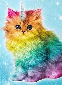 Amazon com Rainbow Unicorn Kitty Greeting Cards 10 Amazon com Rainbow Unicorn Kitty Greeting Cards 10