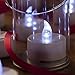 Mars LED Tea Lights - 24 Cool White Unscented Tealight Candles Bonus Decor Rose Petals - 1.4x1.4