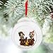 Disney Chip n Dale Glass Globe Sketchbook Ornament - Nutty Noel 2015