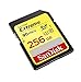 SanDisk Extreme 256GB SDXC UHS-I Card (SDSDXNF-256G-GNCIN) [Old Version]