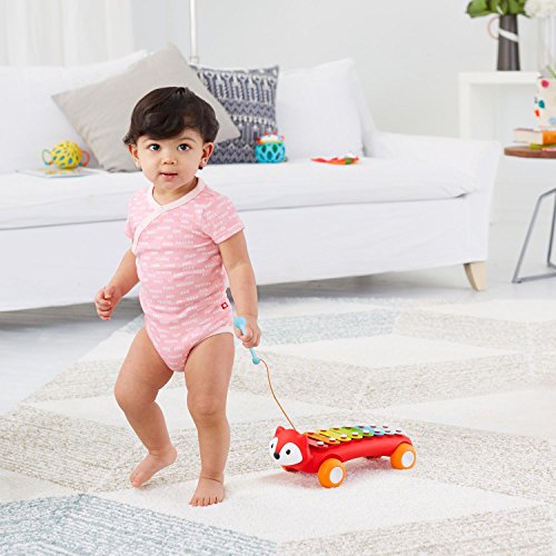Skip Hop Explore & More Fox Xylophone, Multi