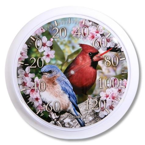 TAYLOR PRECISION PRODUCTS 6733 Thermometer, 13-1/4 in