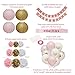 Pink and Gold Baby Shower Decorations for Girl - Baby shower Party Supplies Paper Lanterns/Tissue Pom Poms/Balloons/Banner/Sash/Glue Dots/Ribbon - Pink/White/Gold Decorations - Balloon/Lantern Princess Baby Products - Its a girl baby shower decoration