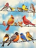 LPRTALK Diamond Painting by Number Kit, Karida 5D DIY Diamond Painting Full Square Drill Birds Embroidery for Wall Decoration 12X16 inches