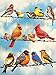 LPRTALK Diamond Painting by Number Kit, Karida 5D DIY Diamond Painting Full Square Drill Birds Embroidery for Wall Decoration 12X16 inches