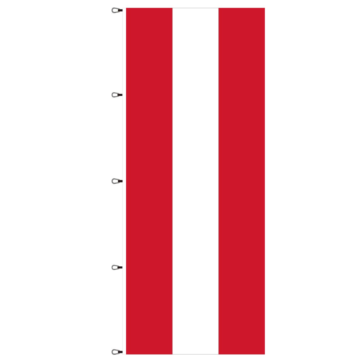 BGFint Austria Flag 120 x 300 cm Flag Austria National Flag Fabric 110 g/m² for Flagpoles with Boom