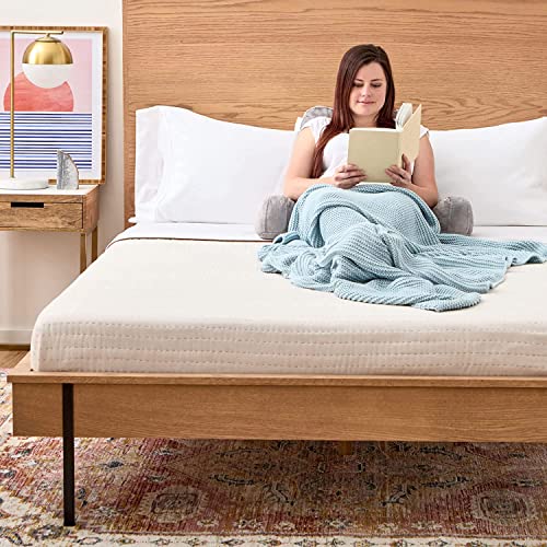 LINENSPA Reading Pillow with Shredded Memory Foam Back Pillow for