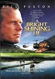 BRIGHT SHINING LIE / (FULL MOD DOL)                image